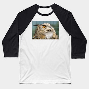 Eagle Owl Portrait Baseball T-Shirt